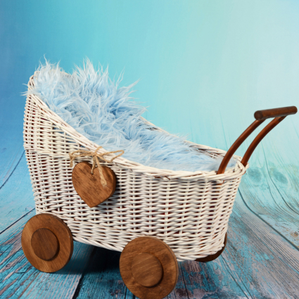 Baby Basket Stroller