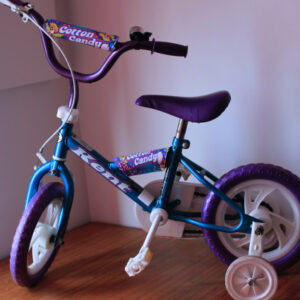 New Learner Baby Cycle